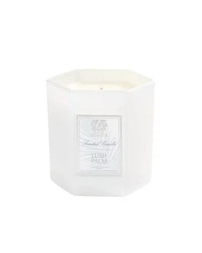 Antica Farmacista Lush Palm Candle In White