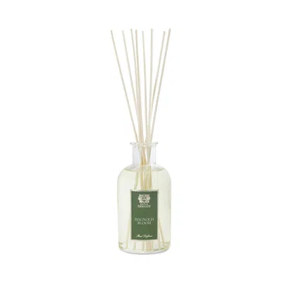 Antica Farmacista Magnolia 500 ml Diffuser In Green