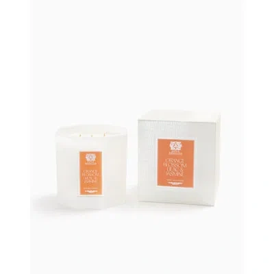 Antica Farmacista Three-wick Candle In White