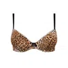 Antigel Boudoir De Filles Women's Libre Panthere Padded Bra In Leopard In Multi
