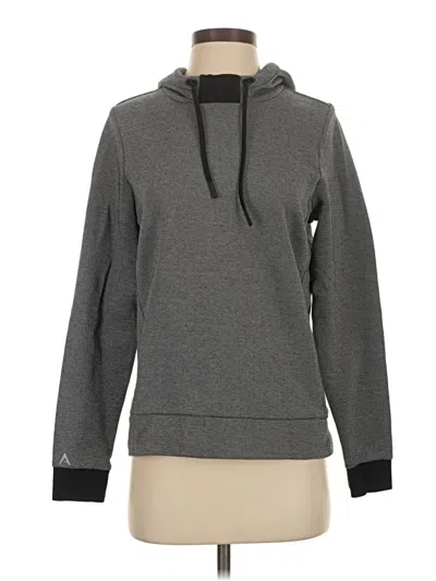 Pre-owned Antigua Pullover Hoodie In Gray