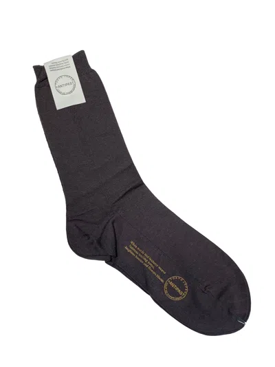 ANTIPAST ANTIPAST ANTIPAST BASIC SOCKS