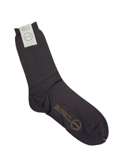 Antipast Basic Socks In Black