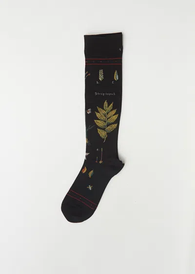 Antipast Botanical Xvii Compression High Socks In Black