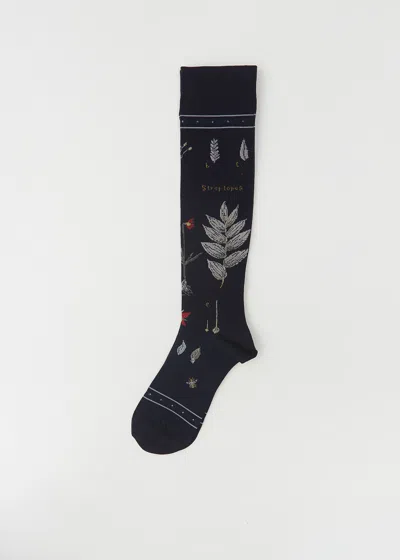 Antipast Botanical Xvii Compression High Socks In Black