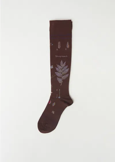 Antipast Botanical Xvii Compression High Socks In Brown