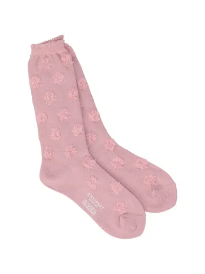 Antipast Tufted Knitted Socks In Pink