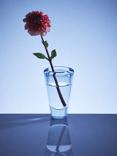 Antique And Vintage 1950s Holmegaard Crystal Bud Vase (5in/13cm)