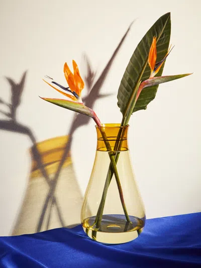 Antique And Vintage 1986 Venini Colletto Glass Vase (15in/38cm) In Orange