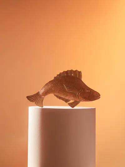 Antique And Vintage 19th-century Copper Fish  Abask Luxury Gift In Brown