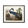 Antique Curiosities Blue Heron In Multi