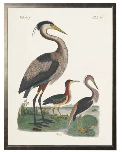 Antique Curiosities Herons In Multi