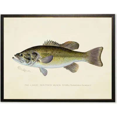 Antique Curiosities Large-mouthed Black Bass Print In Multi
