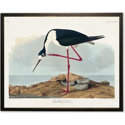 Antique Curiosities Long-legged Avocet In Multi