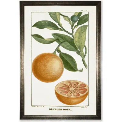 Antique Curiosities Orange Plant In Multi