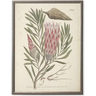 Antique Curiosities Pink Flower In Multi