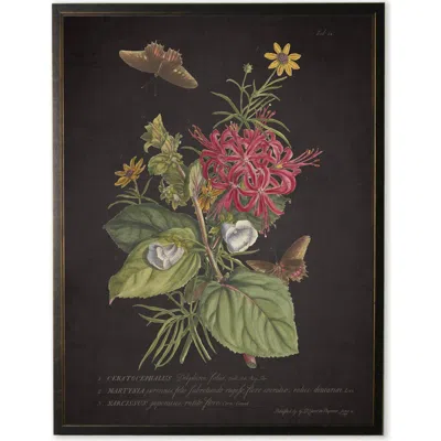 Antique Curiosities Red And Yellow Flowers With Butterflies In Multi
