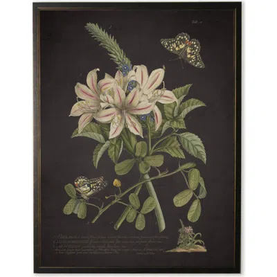 Antique Curiosities Sherardia Bouquet And Butterflies In Multi
