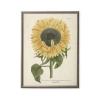 Antique Curiosities Sunflower In Multi