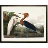 Antique Curiosities Two Herons In Multi