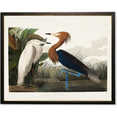 Antique Curiosities Two Herons In Multi