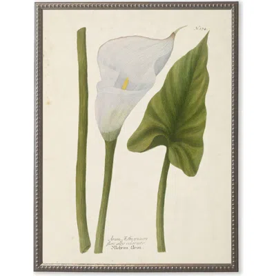 Antique Curiosities White Flower And Leaf In Multi