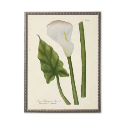 Antique Curiosities White Flower, Leaf, And Stem In Multi