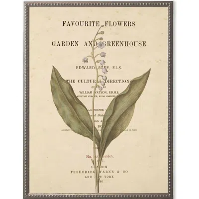 Antique Curiosities White Flowers On Book Page In Multi