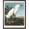 Antique Curiosities White Heron In Multi