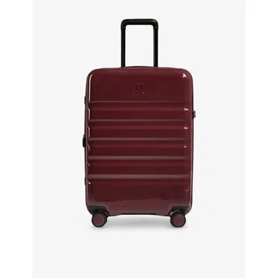 Antler Cedar Icon Stripe Medium 4-wheel Suitcase 66cm In Burgundy