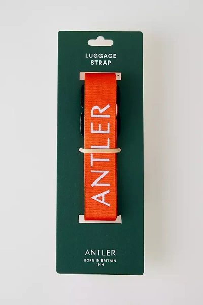 Antler Luggage Strap In Orange