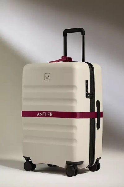 Antler Luggage Strap In Purple