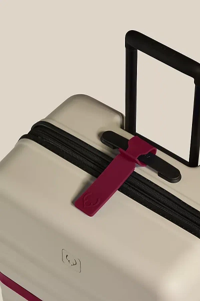 Antler Luggage Tag In Purple