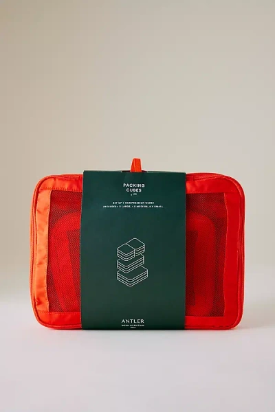 Antler Packing Cubes, Set Of 4 In Orange