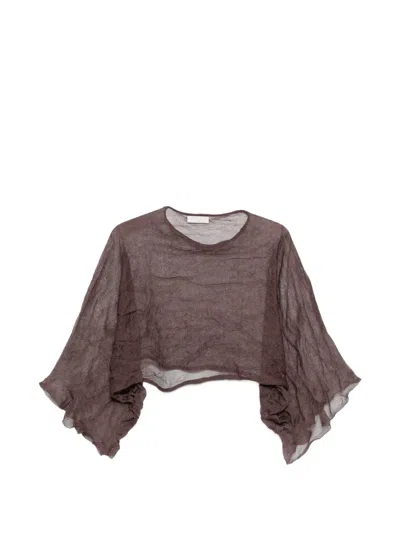 Antonelli Arnica Crinkled Crop Top In Brown