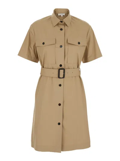 Antonelli Beige Dress With Classic Collar And Waist Belt In Cotton Woman