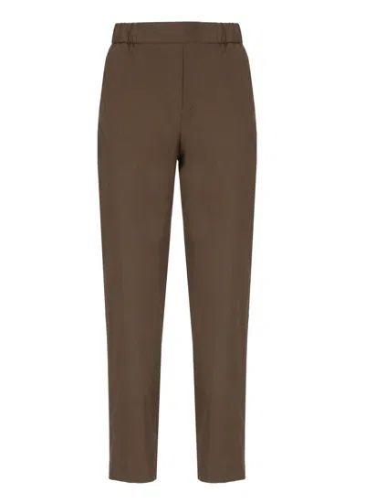 Antonelli Brown Ragusa Pants