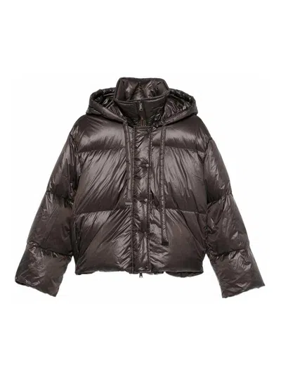 ANTONELLI CHAQUETA ALCOCHADA - MARRÓN