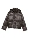 Antonelli Cropped Brown Puffer Jacket With High Collar In Black
