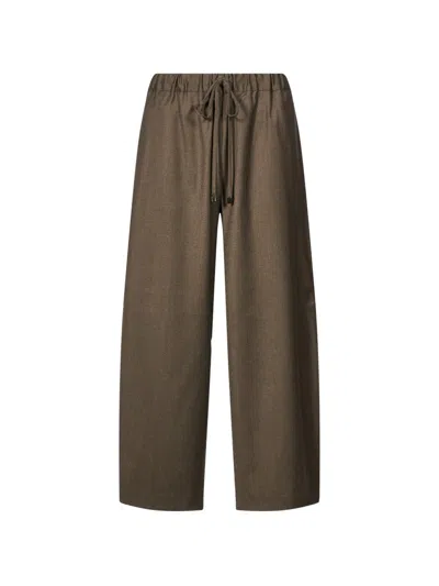 Antonelli Drawstring Wide-leg Trousers In Brown