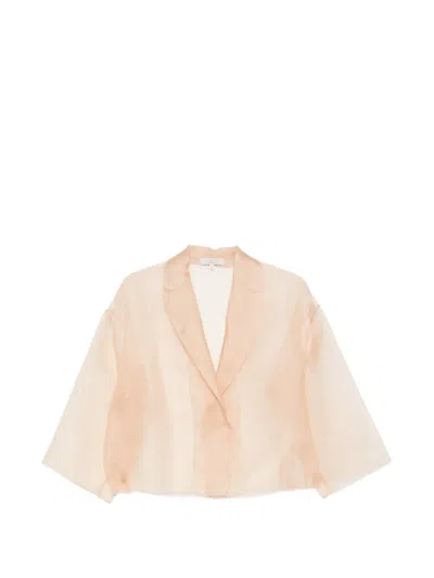 Antonelli Emma Sheer Jacket In Multi