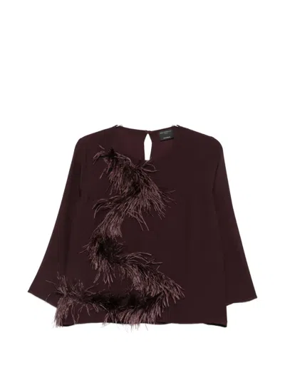 Antonelli Feather-trim Long-sleeve Top In Brown