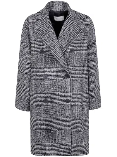 Antonelli Firenze "gin Tropical" Coat In Gray