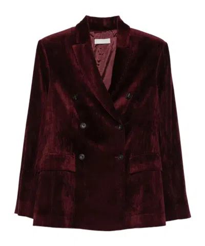 Antonelli Gravona Double-breasted Corduroy Blazer In Multi
