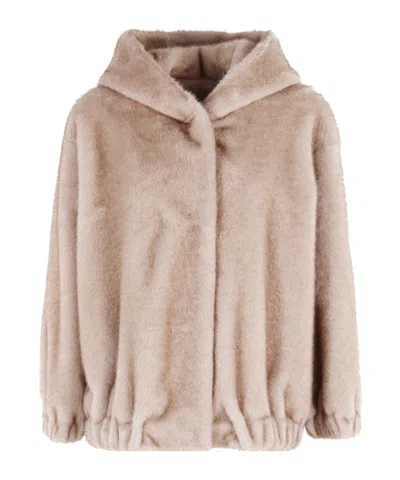 Antonelli Hooded Long-sleeve Cotton-padded Jacket In Brown