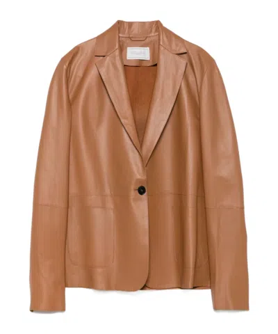 Antonelli Long Sleeve Blazer In Camel Brown