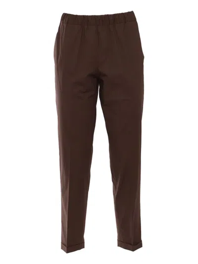 Antonelli Pants In Brown