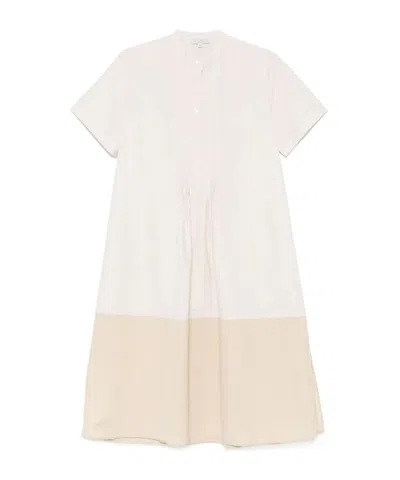 Antonelli Pleated Detail Midi Dress In Neutral