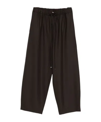 Antonelli Pleated Detail Track Pants In Brown