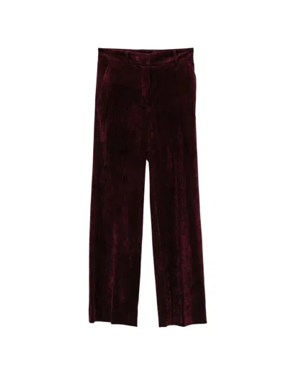 Antonelli Prunelli Ribbed Trousers In Burgundy